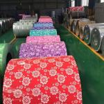 Color Coated Prepainted Galvanized Coil PPGI Prepainted Galvanized Steel Roll