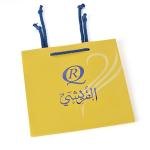 Garment Shopping Branded Paper Bags embossing Pantone Printing 190x120x210mm