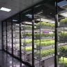 Buy cheap Reefer Container Greenhouse For Leaf Vegetable Smart Container Greenhouse from wholesalers