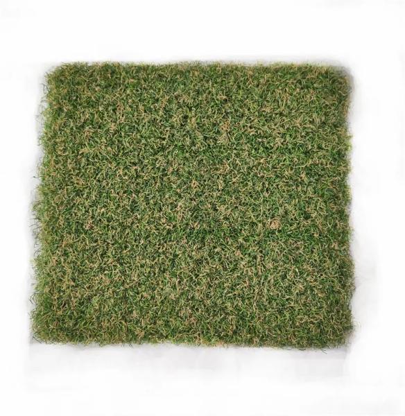 Buy cheap Indoor SGS Artificial Golf Turf Grass 15mm Putting Green from wholesalers
