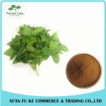 Organic Sweet Potato Leaf Extract Powder 10:1 for improve Hunman Immunity