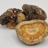 Buy cheap Medium Size Dried Shiitake Mushrooms Flakes Dry Place Storage from wholesalers
