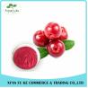 Buy cheap Food Ingredients Fruit Extract 100% Natural Bilberry Extract Powder from wholesalers