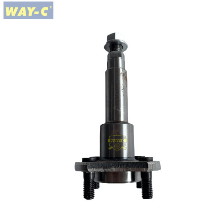 G2110530 Tricycle TUKTUK TAXI Moto Rear Axle Assy For TVS KING