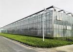 Good Reliability Agricultural Glass Greenhouse 4mm / 5mm Glass Covering