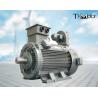 Buy cheap YSP Mining VFD Three Phase Asynchronous Motor 1000kw from wholesalers