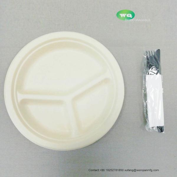 2021 best sell Eco-friendly Sugarcane 3-Compartments Plate Heavy-duty takeaway