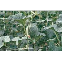 Buy cheap Hdpe Anti UV Climbing Plant Support Netting For Vegetable Crop , Green product