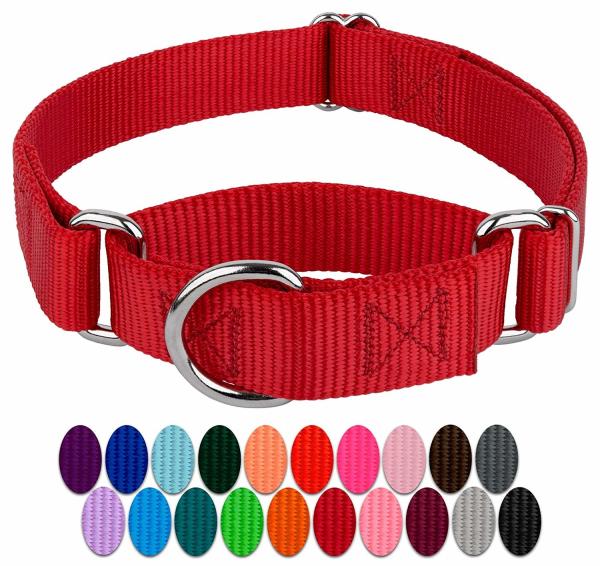 Buy cheap Easy On Off Durable Nylon Buckle Dog Collars from wholesalers