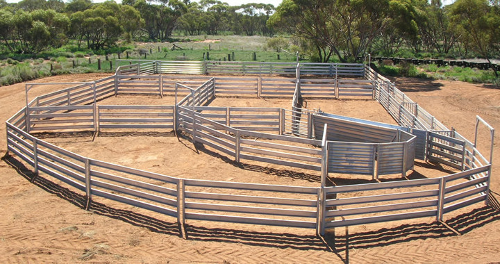200 Head Sheep Yard Panels Pre Hot Dip Galvanized Strong Permanent