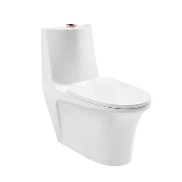 Buy cheap 0.85GPF Elongated One Piece Toilets Seat Included Single Flush from wholesalers