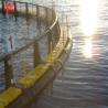 Buy cheap PE Bracket Hdpe Fish Cage , Hdpe Pipe And Fittings Quick Installation from wholesalers