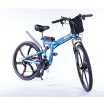 Aluminum Alloy Folding Electric E Bike Wear Resistant Steel Suspension Frame