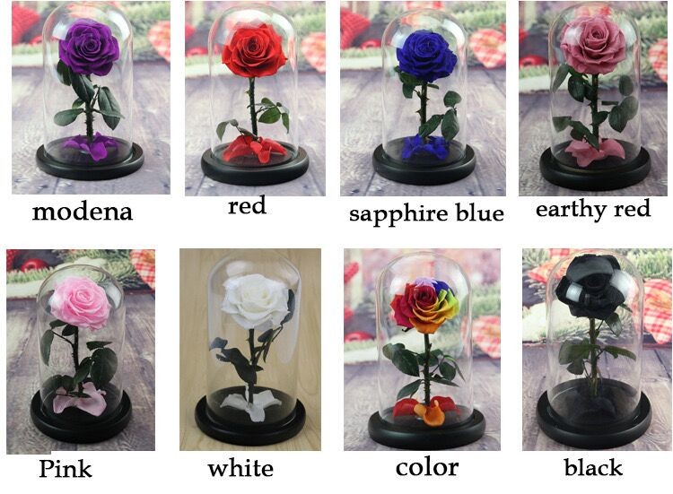 rose gift Factory Wholesale Eternal Beautiful Forever Little Prince Roses preserved rose in glass