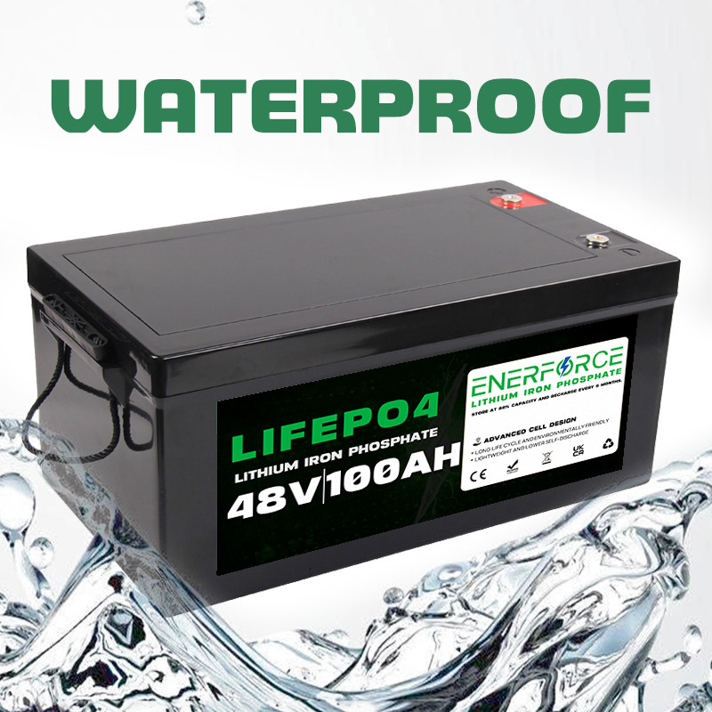 OEM Golf Cart Battery Rechargeable 48V 100ah Lifepo4 Battery Pack