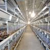 Buy cheap Automatic Cage For Chicks , 264 Birds Capacity Layer Poultry Farm Cage from wholesalers