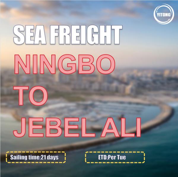 Buy cheap COSCO Liner International Sea Freight Companies From Ningbo To Jebel Ali UAE from wholesalers