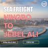 Buy cheap COSCO Liner International Sea Freight Companies From Ningbo To Jebel Ali UAE from wholesalers