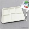 Buy cheap 100% Biodegradable Sugarcane Pulp 5 Compartments Tray-High quality Biodegradable food tray For birthday parties from wholesalers