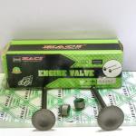 BAJAJ Motorcycle Engine Valve Spare Parts Motorbike Valve Standard Size