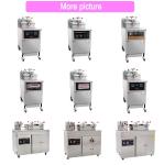 Portable 16L Commercial Hotel Chicken Fryer With 21 Kg N.W. And 3 Kw Power