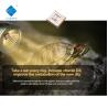 Buy cheap 3838 3W UVB LED Chips 340-350nm High Optical Power 80-120mW For Medical Treatment from wholesalers