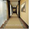 Buy cheap Chinese traditional style unique design Axminster corridor hall carpet from wholesalers
