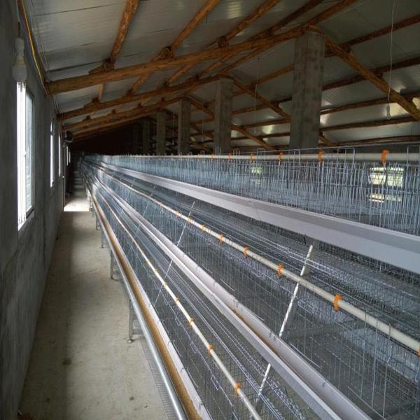 Buy cheap Full Automatic System A Type Layer Hen Cage Hot Galvanizd from wholesalers