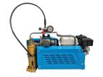 new style 12V 160W Oil - Free Diaphragm Electric Vacuum Pump Diving System with