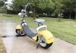 EcoRider 1000W 60V 10ah Big solid tire Two Wheel Electric Motorcycle Scooter