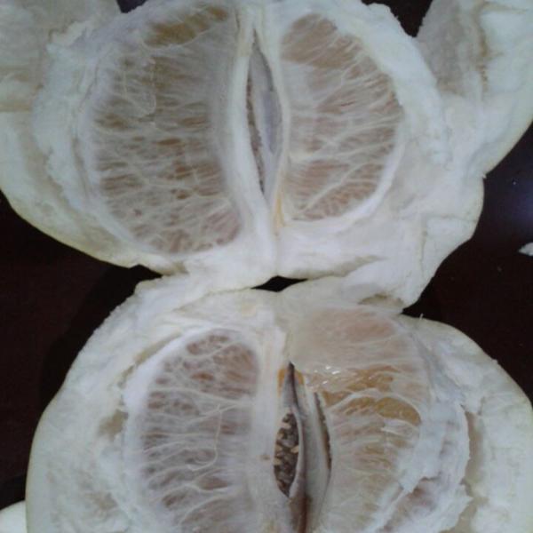 Quality Chinese Golden Supplier Delicious Fresh Honey Pomelo / Grapefruit With Global GAP Certified for sale