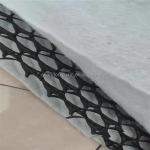 Black White 3D Geocomposite Drainage Net for CE/ISO9001/ISO14001 Certified