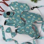 Personalized Cute Dog Collar Lead Set XL Dog Leads For Big Dogs