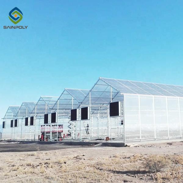 Buy cheap Heat Resistance Skeleton 12m Flower Polycarbonate Greenhouse from wholesalers