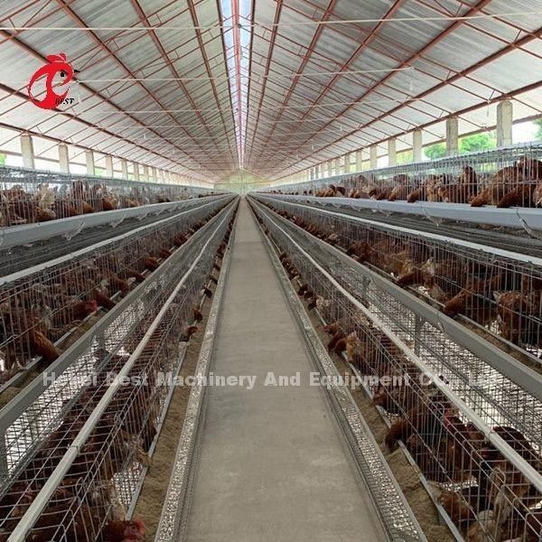 Buy cheap China Export Quality Battery Broiler Chicken Cage Automatic Nigeria Star from wholesalers