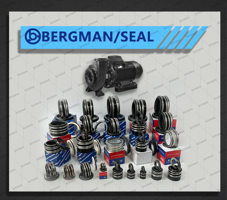 BERGMAN 109/MG1-12mm-110mm G60 G4 G6 G9 G13 G16 BS Bo BP Pump Mechanical Seal