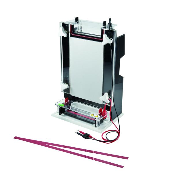 Buy cheap Stable Vertical Gel Electrophoresis Equipment JY-CX1B Nucleic Acid Sequencing from wholesalers
