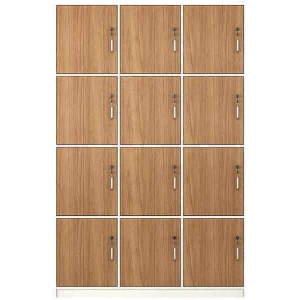 Solid Wood PANEL Employee Locker with Locking Storage Room for Gym Bathroom