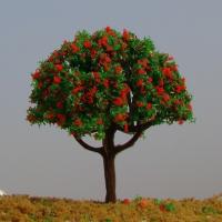 Buy cheap LH16 flower trees--model trees, miniature artifical trees, mode materials,fake product