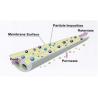 Buy cheap Multi Channel Ceramic Membrane 25MM 4mm Ceramic Flat Sheet Membrane from wholesalers