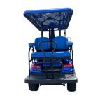 72 V 4 Passenger ESP 4 Wheel Electric Drive Motorized Street Legal Golf Cart