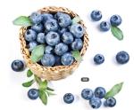 Buy cheap 2015 TOP hot selling Bilberry Extract from wholesalers