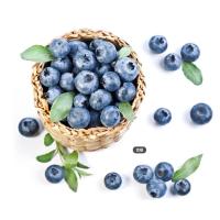 Buy cheap 2015 TOP hot selling Bilberry Extract product