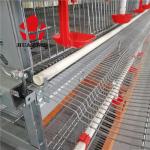 6 Tier Metal Bird Breeding Cages , Hot Galvanized 240 - 576 Quail Farming Cages