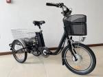 36V 250W Motor 3 Wheel Cargo Bike Tricycle Electric For Adult Derailleur 3 Speed