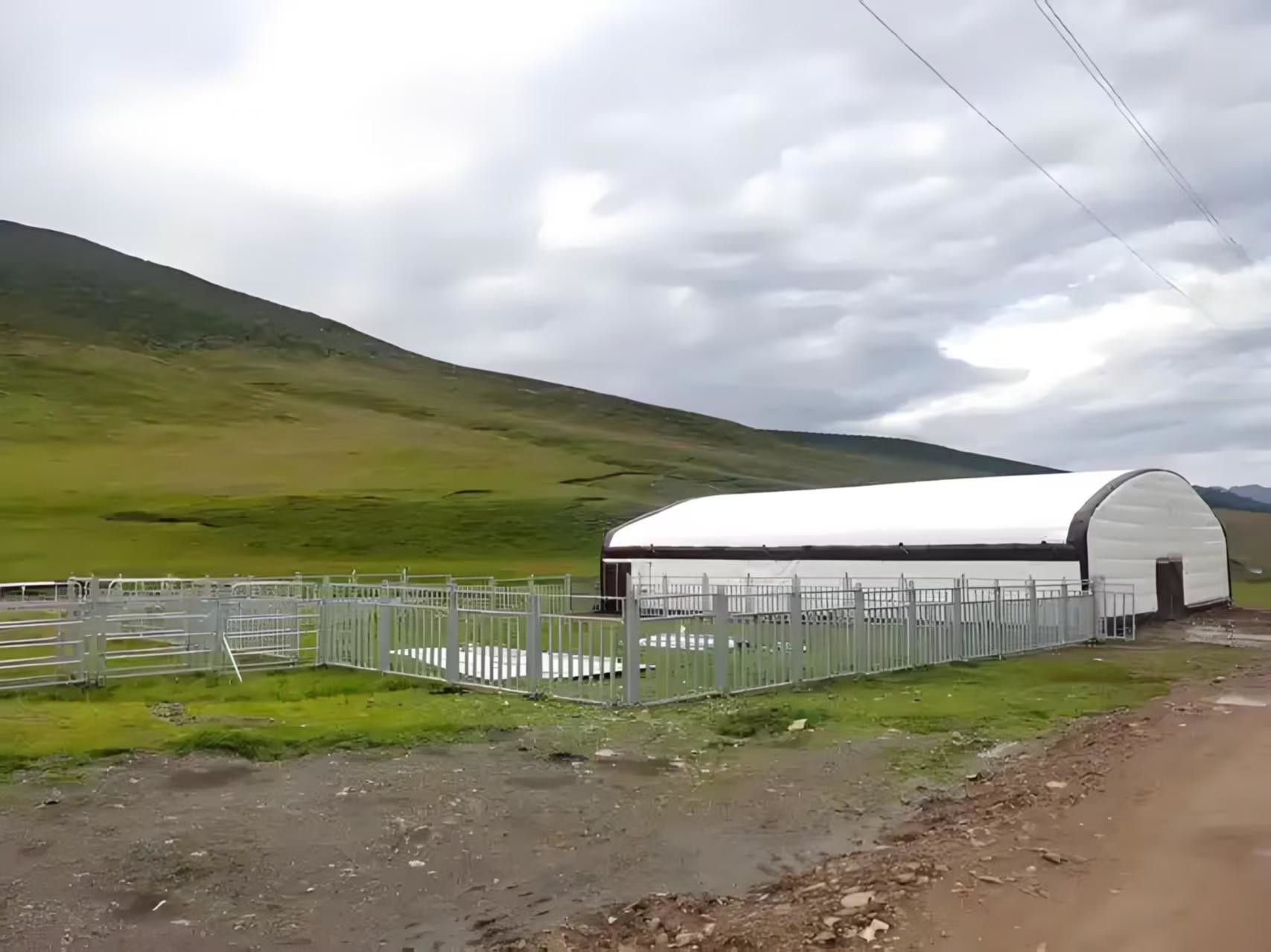 Easy Assembly Cattle Sheds Steel Structure Cow Farming Shed Weather Resistant
