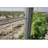 Buy cheap Customized Size Agriculture Fence Posts 8ft Height In Iron Pallet Packing from wholesalers