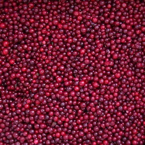 Buy cheap IQF Frozen fruits quick frozen Lingonberry grade A from wholesalers
