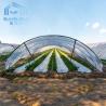 Buy cheap Agriculture Mushroom Management Greenhouse Planting Vegetables Fruits Single-Span Greenhouses from wholesalers