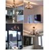 Buy cheap Deer horn chandelier for Coffee Shop Bedroom Living room Lighting Fixtures (WH-AC-04) from wholesalers